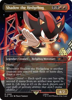 画像1: 『英語版』Shadow the Hedgehog