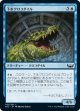 【日本語版】下水クロコダイル/Sewer Crocodile