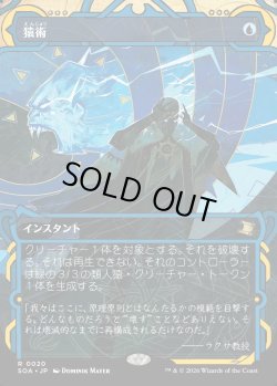 画像1: 【日本語版】猿術/Pongify