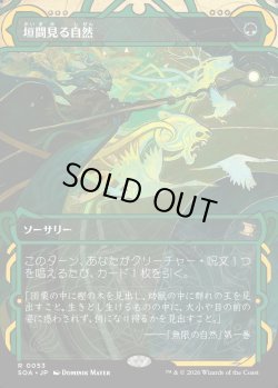 画像1: 【日本語版】垣間見る自然/Glimpse of Nature