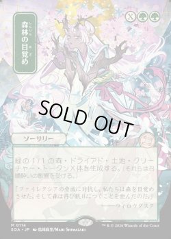 画像1: 【日本語版】【日本画】森林の目覚め/Awaken the Woods