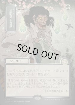 画像1: 【日本語版】【シルバースクロールFoil】垣間見る自然/Glimpse of Nature