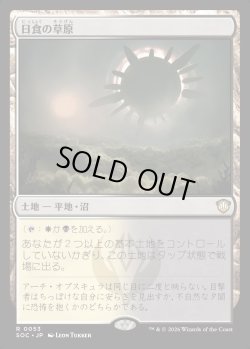 画像1: 【日本語版】日食の草原/Eclipsed Steppe