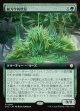 【日本語版】【拡張枠】動力学的軟泥/Kinetic Ooze
