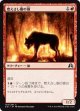 【日本語版】燃えさし眼の狼/Ember-Eye Wolf