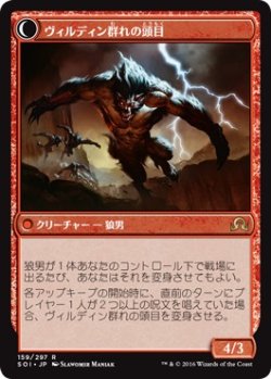 画像2: 【日本語版】ガイアー岬の山賊/ヴィルディン群れの頭目/Geier Reach Bandit/Vildin-Pack Alpha