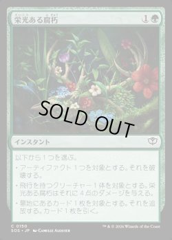 画像1: 【日本語版】栄光ある腐朽/Glorious Decay