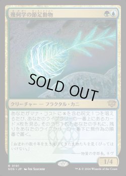 画像1: 【Foil】【日本語版】幾何学の節足動物/Geometer's Arthropod