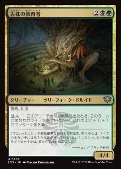 画像1: 【日本語版】古株の教育者/Old-Growth Educator