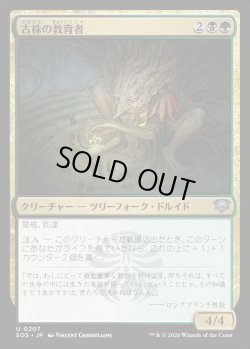 画像1: 【日本語版】古株の教育者/Old-Growth Educator