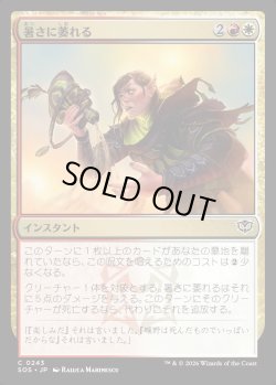 画像1: 【日本語版】暑さに萎れる/Wilt in the Heat