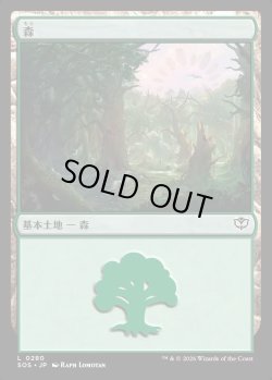 画像1: 【日本語版】森/Forest