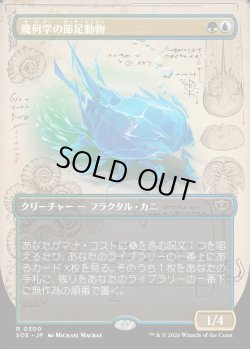 画像1: 【Foil】【日本語版】【ボーダーレス】幾何学の節足動物/Geometer's Arthropod