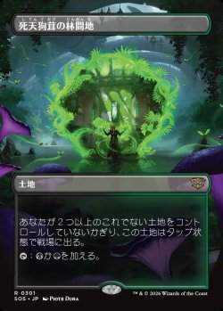 画像1: 【日本語版】【ボーダーレス】死天狗茸の林間地/Deathcap Glade
