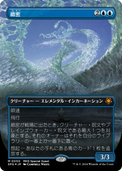 画像1: 【テクスチャーFoil】【日本語版】緻密/Subtlety