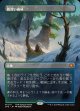 【ボーダーレス】【日本語版】霧深い雨林/Misty Rainforest