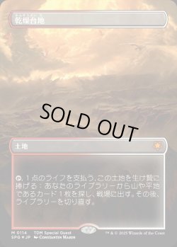 画像1: 【ドラゴンスケイルFoil】【日本語版】乾燥台地/Arid Mesa