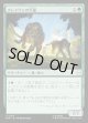 【Foil】【日本語版】クレイヴンの大猫/Kraven's Cats