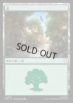 画像1: 【日本語版】森/Forest