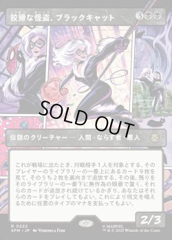 画像1: 【Foil】【パネル・ボーダーレス】【日本語版】狡猾な怪盗、ブラックキャット/Black Cat, Cunning Thief