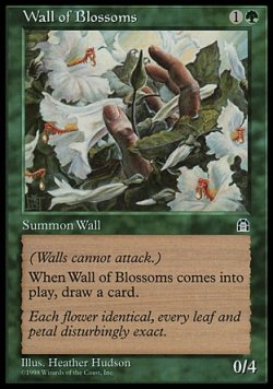 画像1: 『英語版』花の壁/Wall of Blossoms