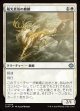 【日本語版】陽光真珠の麒麟/Sunpearl Kirin