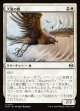 【日本語版】大嵐の鷹/Tempest Hawk