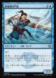 【日本語版】展翅剣の門弟/Wingblade Disciple