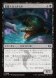 【日本語版】装飾クロコダイル/Adorned Crocodile