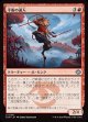 【日本語版】平衡の達人/Equilibrium Adept