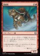 【日本語版】救助豹/Rescue Leopard