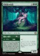 【日本語版】咲蔦森の執政+縄張りの要求/Bloomvine Regent  + Claim Territory
