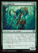 【日本語版】旅する植物学者/Traveling Botanist