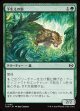 【日本語版】下生えの豹/Undergrowth Leopard