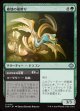 【日本語版】破壊の嵐孵り+ささやかな復讐/Disruptive Stormbrood  + Petty Revenge