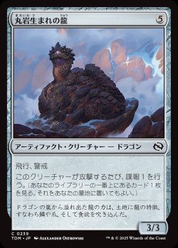 画像1: 【日本語版】丸岩生まれの龍/Boulderborn Dragon