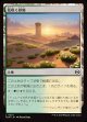 【日本語版】花咲く砂地/Blossoming Sands