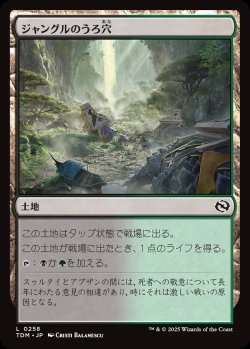 画像1: 【日本語版】ジャングルのうろ穴/Jungle Hollow