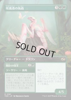 画像2: 【リバーシブル・ボーダーレス】【日本語版】咲蔦森の執政+縄張りの要求/Bloomvine Regent  + Claim Territory