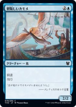 画像1: 【日本語版】鬱陶しいカモメ/Vexing Gull