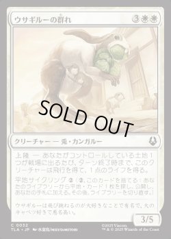 画像1: 【日本語版】ウサギルーの群れ/Rabaroo Troop