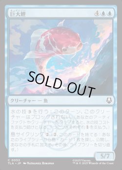 画像1: 【日本語版】巨大鯉/Giant Koi