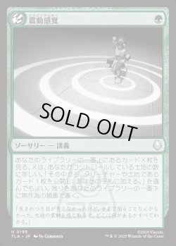 画像1: 【日本語版】震動感覚/Seismic Sense