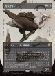 【ボーダーレス・実地調査】【日本語版】カラスワシ/Raven Eagle