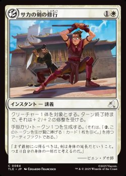 画像1: 【日本語版】サカの剣の修行/Sokka's Sword Training