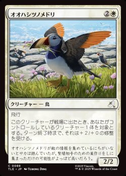 画像1: 【日本語版】オオハシツノメドリ/Toucan-Puffin