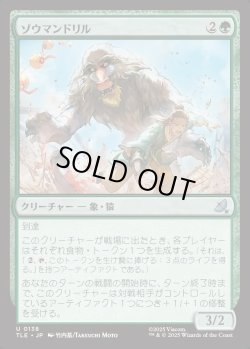 画像1: 【日本語版】ゾウマンドリル/Elephant-Mandrill