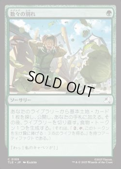 画像1: 【日本語版】数々の別れ/Many Partings