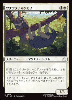 画像1: 【日本語版】ツチブタナマケモノ/Aardvark Sloth