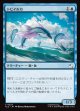 【日本語版】トビイルカ/Flying Dolphin-Fish